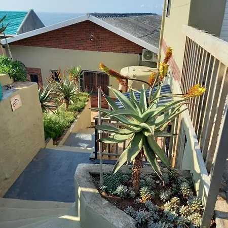Ocean Rush Turtle Apartment Zinkwazi Beach Exterior photo